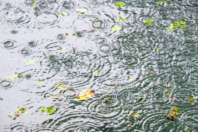 韓国の梅雨と雨に関するイロイロ
